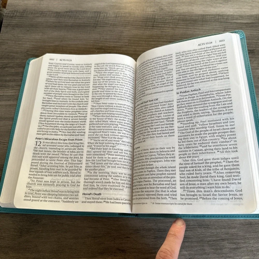 Zondervan Holy Bible Thinline Teal NIV New International Version Large Print